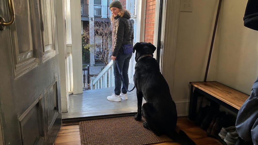 Black Lab holding a sit-stay at the open front door while its owner steps onto the porch