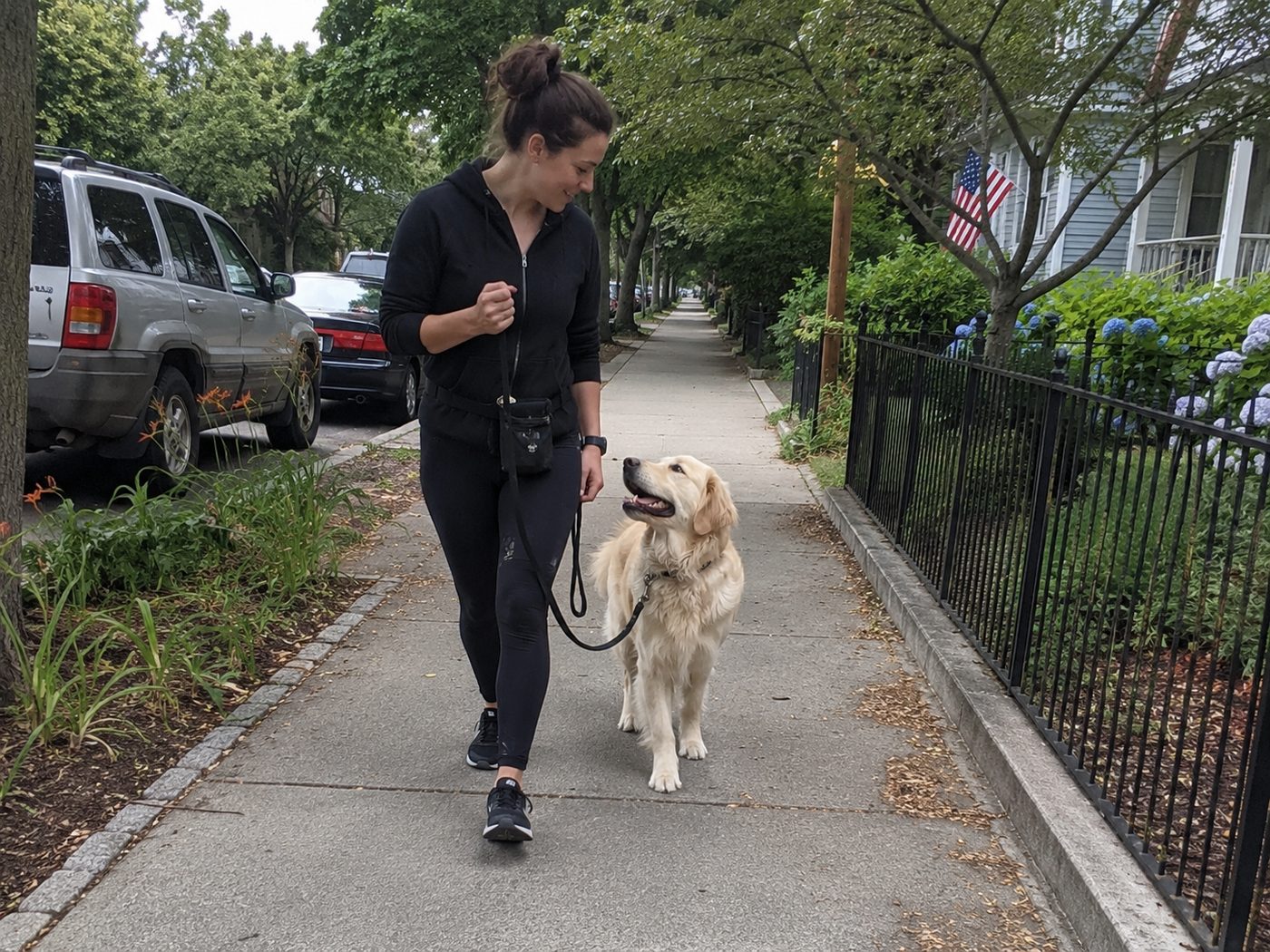 Dog holding a loose-leash heel walking beside its owner on a Boston sidewalk
